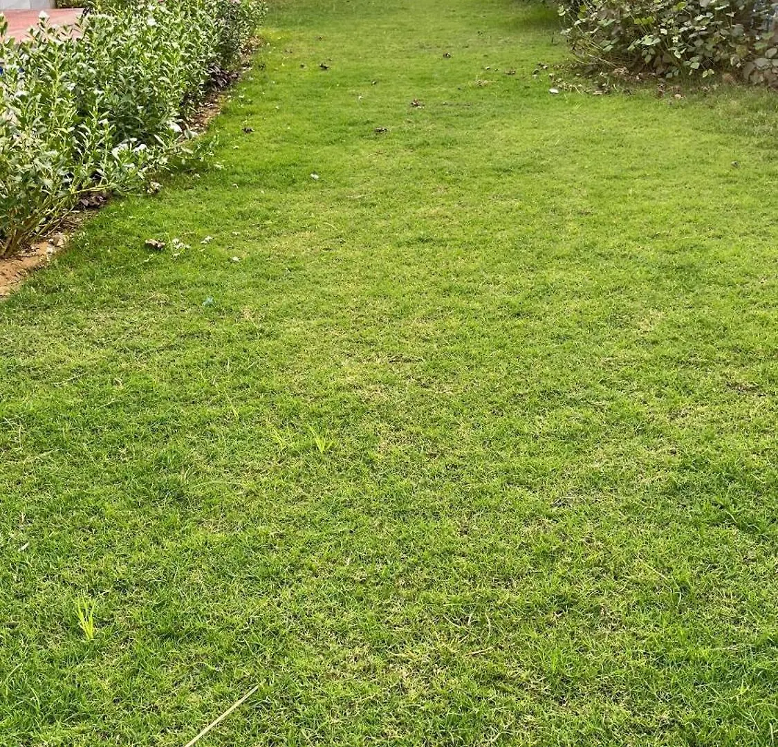 Tatil parkı Brasa Farm Otel Gurgaon Hindistan