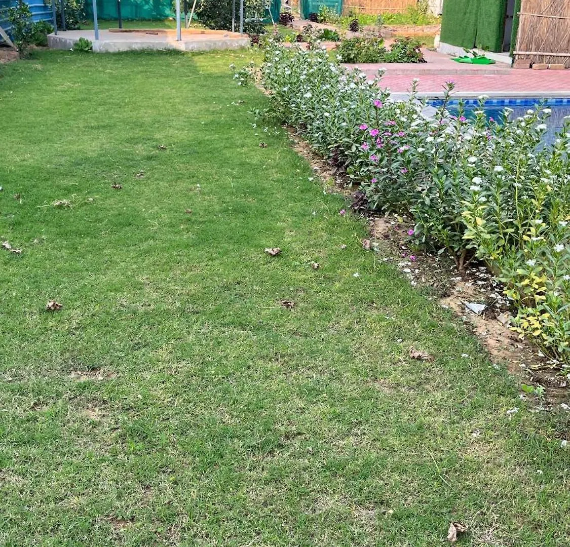 Brasa Farm Otel Gurgaon